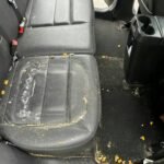 9c1a640b 0d41 414a 9095 dea2cb809179